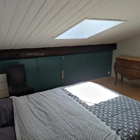 Duplex De Charme En Hyper Centre *