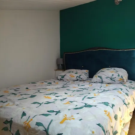 Daire Duplex De Charme En Hyper Centre *