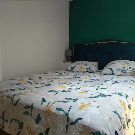 Daire Duplex De Charme En Hyper Centre