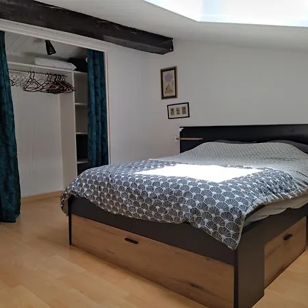 Duplex De Charme En Hyper Centre
